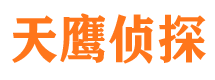 新兴调查事务所